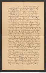 Nachlass Franz Steindachner, Brief von Adolf Horn an die Intendanz des k.k. naturhistorischen Hofmuseums (07.01.1909), Inv.Nr. 239.09, Seite 5